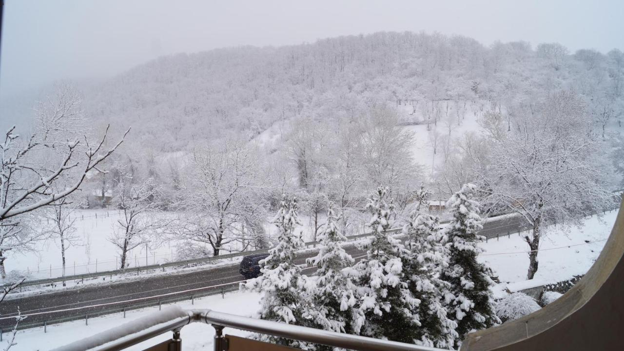 Gabala Yeddi Gozel Hotel Εξωτερικό φωτογραφία