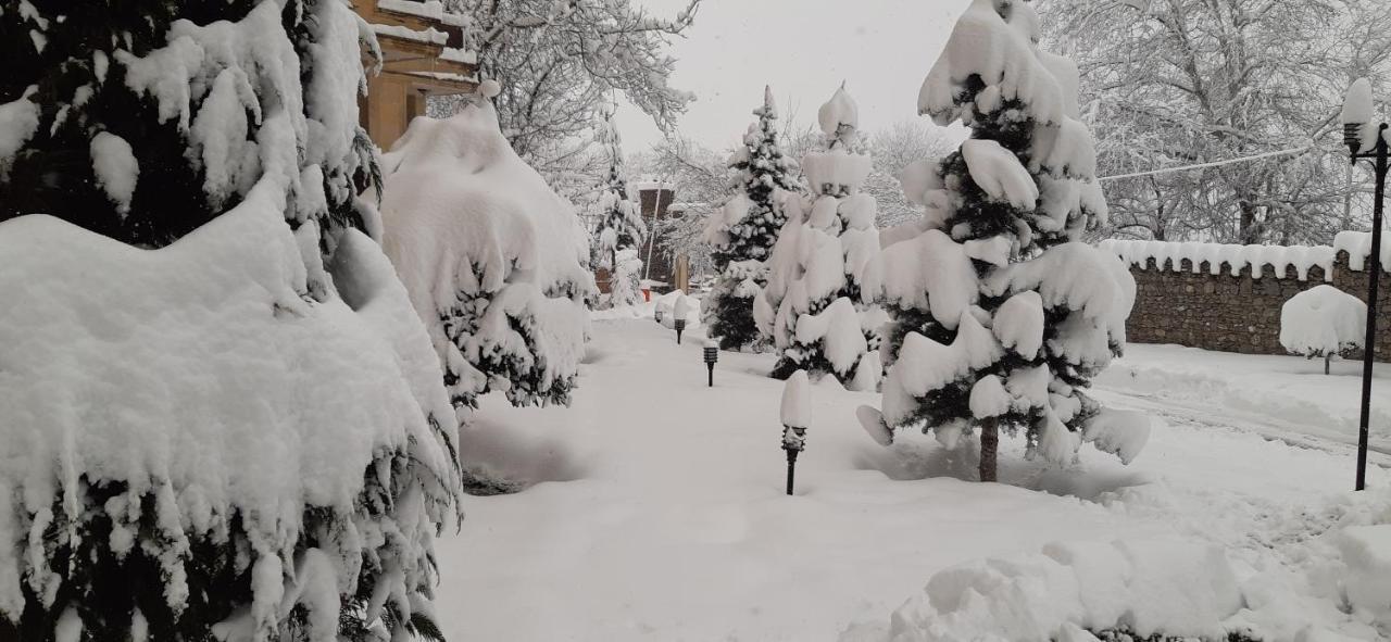 Gabala Yeddi Gozel Hotel Εξωτερικό φωτογραφία